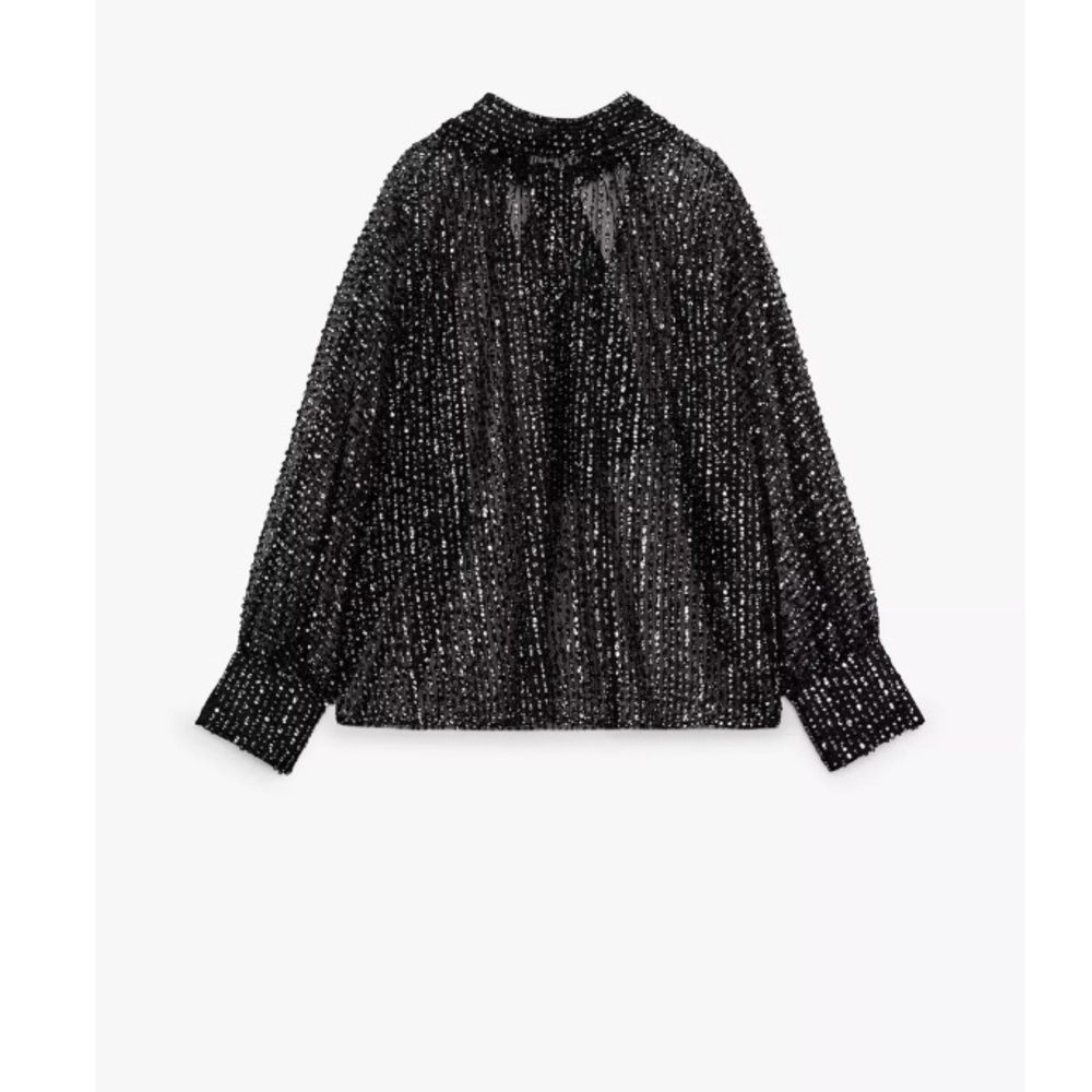 Zara Shimmering Black Blouse